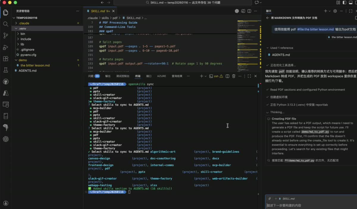 OpenSkills and Agent Skills demonstration